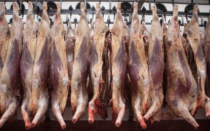 Crisis en “Cortes Cuidados”: el Gobierno intimó a los frigoríficos exportadores