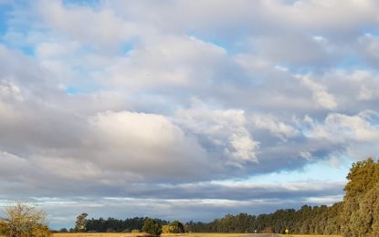 La Niña podría volver por tercera campaña consecutiva: ¿Se repite lo que sucedió hace 20 años?