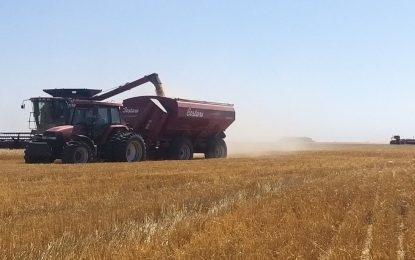 Trigo: el Gobierno cumplió la promesa de abrir la exportación de otras 8 millones de toneladas