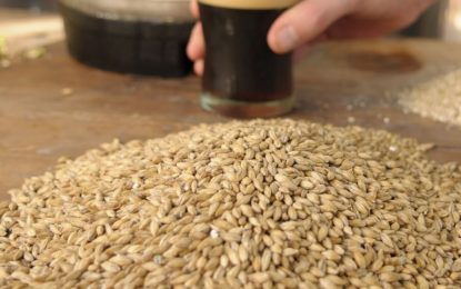 La cebada, el otro cultivo que gana firmeza de mercado por la guerra