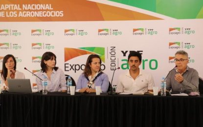 Pese a la suba del trigo y la soja, el maíz temprano sigue siendo lo más rentable en la zona núcleo