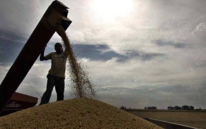 Retenciones: U$S 400 millones más para el Estado, U$S 16 por tonelada menos para el productor