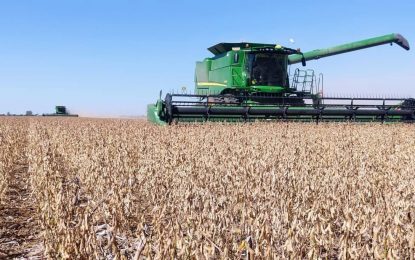 “Hay predisposición a invertir”: la maquinaria agrícola sigue por la ruta del crecimiento