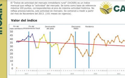 Los valores de la tierra habrían tocado un piso: ¿se reactiva el mercado inmobiliario rural?