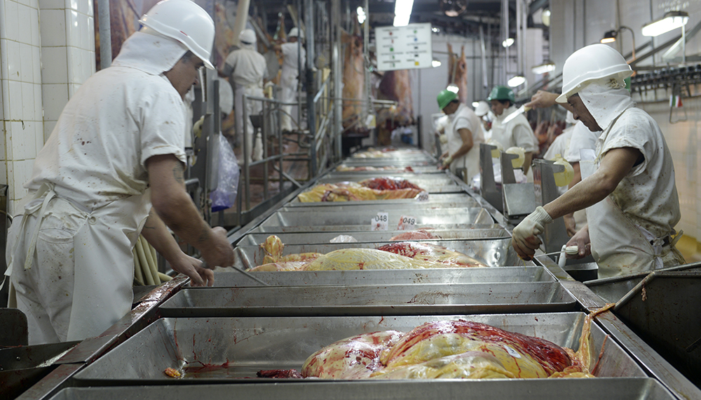 Carne: el Gobierno vuelve a incrementar los controles a las exportaciones
