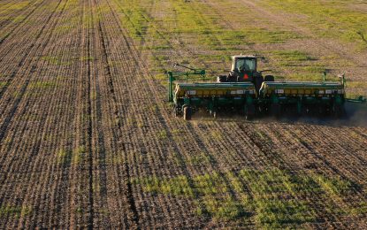 El trigo da un paso atrás: se sembrarían 200.000 hectáreas menos este año