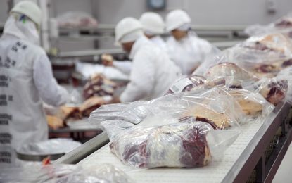 El primer trimestre cerró con la peor faena bovina en 5 años