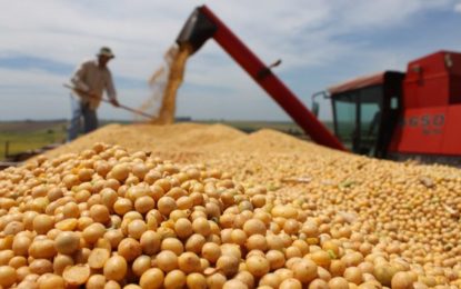 El cambio agronómico hecho hace siete años que mejora hoy la perspectiva de la soja