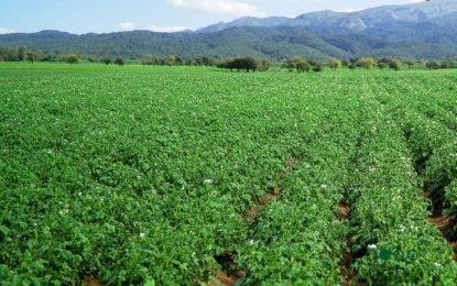 Una triple alianza para “conquistar” el mercado de los biológicos