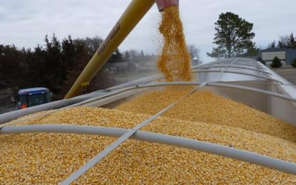 “Cambiar granos disponibles por fertilizantes, hoy parece la mejor alternativa”