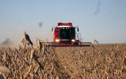 Alcanzando la mitad del área de soja, ya se cosechó más de la mitad de la producción