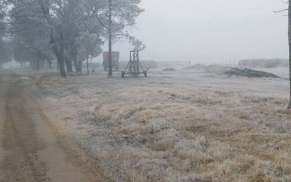 Por los vientos del sudoeste, la zona pampeana tendrá alto riesgo de heladas