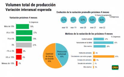Campaña fina: las empresas CREA estiman un área de trigo estable y más cultivos de servicio