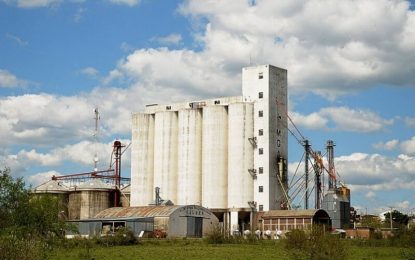 Pymes molineras también salieron al cruce del Gobierno: “Entristece que busquen demonizarnos”