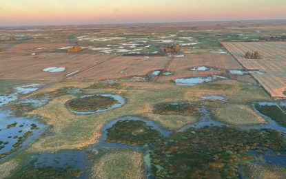 Un informe oficial estima más de 300.000 hectáreas inundadas en el oeste de Buenos Aires