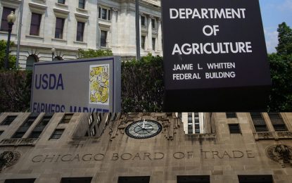 El Día del Trigo: explotó en Chicago y Kansas, con una suba de U$S 25