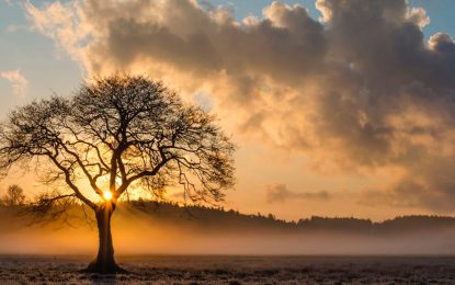 Sin pronóstico de lluvias, el viento norte empieza a desplazar al del sur