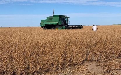 La Niña se “robó” de Córdoba 6,6 millones de toneladas