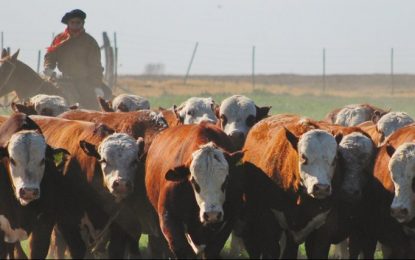El Gobierno puso en marcha el Plan GanAr: cuáles serán sus objetivos y alcances