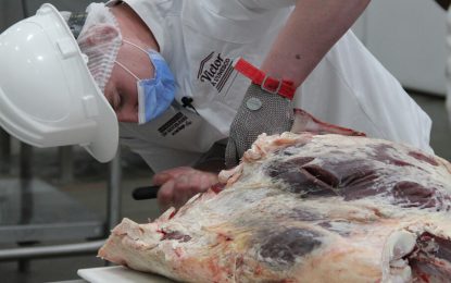 La guerra en Ucrania impacta en las exportaciones de carne argentina: envíos a Rusia cayeron 90%