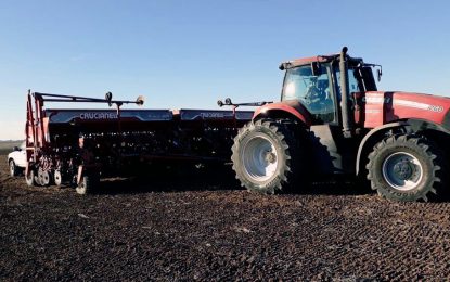 Encuesta “a boca de lote”: el trigo se mantiene con bajas expectativas de siembra