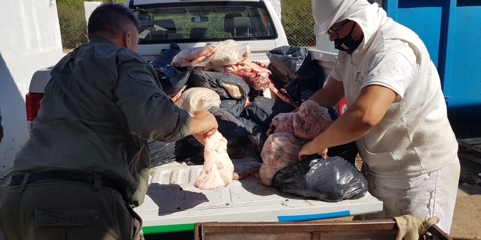 Por faena clandestina, decomisan 500 kilos de carne en el norte de Córdoba