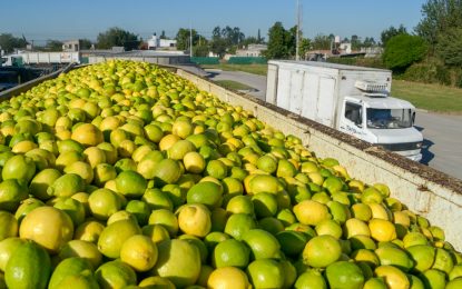 En abril, volvió a subir la brecha de precios campo-góndola