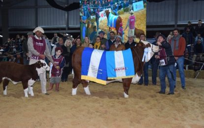 Braford: la mitad de la “Gran Campeona Mundial” se vendió en $ 17 millones
