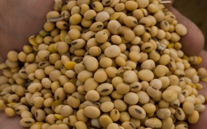 “Sembrá Evolución”: la industria semillera se unió para crear un nuevo modelo de comercialización