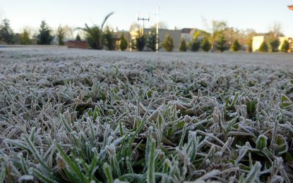 Afirman que el invierno será frío y seco, y puede ser “una grave amenaza para el trigo”