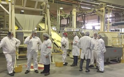 Las cadenas agroindustriales generan uno de cada cuatro empleos privados en Argentina