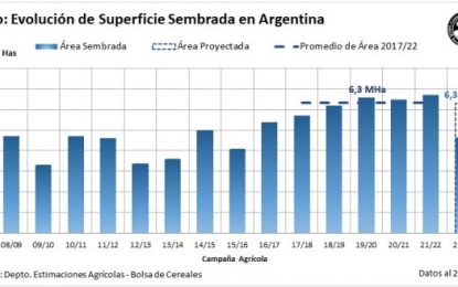 Trigo: casi 40% de los lotes sufren falta de agua y se profundiza el retraso de la siembra