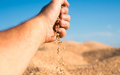 Ley de semillas: entidades rurales rechazan cualquier modificación que se haga sin consenso