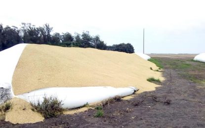 Rurales en alerta: piden extremar las medidas de seguridad para evitar ataques a silobolsas
