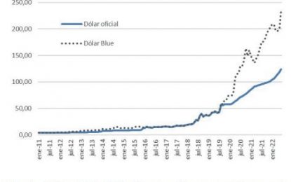 Dólar: ante la incertidumbre, la hacienda bovina se convierte en un buen “chanchito”