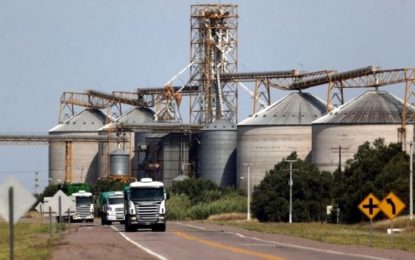 La carta de los acopiadores a Massa: tres propuestas para mejorar el “dólar soja”