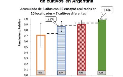 Más de 60 ensayos en 10 provincias: determinan la deficiencia de fósforo y zinc en la región pampeana