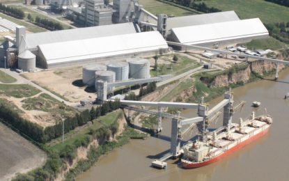 Casi U$S 50.000 millones: el aporte récord que harán los complejos agroexportadores en 2022