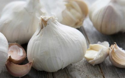 Desde Mendoza, el ajo tiende puentes para aumentar las exportaciones a Brasil