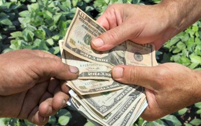 CRA: “Un dólar a precios de mercado, MEP o Blue, es lo único que puede modificar incentivos”