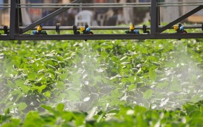 Alertan por el robo y posible venta adulterada de 20.000 litros de un herbicida