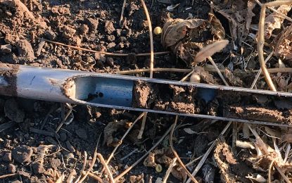 El “viaje que no vemos” que hace un nutriente: dónde inicia y dónde termina