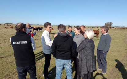 La carne vacuna argentina va por un nuevo mercado para exportar: Serbia