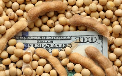 “¿Querés seguir siendo esclavo?”: Autoconvocados se expresaron en contra del nuevo ‘dólar-soja’