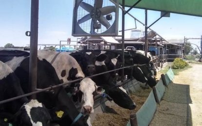 El “lado b” del ‘dólar soja’: pega de lleno en los costos de productores de leche, carnes y huevos