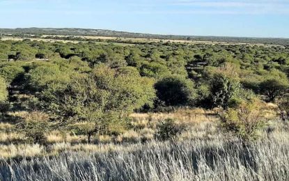 Polémica con el campo en La Pampa por el proyecto de creación de un parque nacional