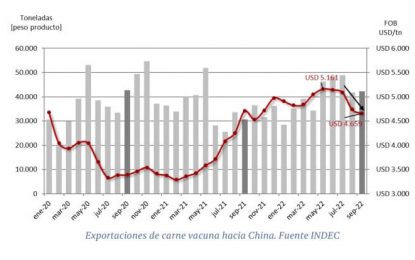 Exportaciones de carne: del récord del primer semestre a un tobogán de precios que no termina