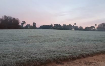 Alertan por nuevas heladas tardías en el núcleo triguero del sur de Buenos Aires