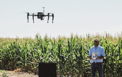 Ganadería 4.0: drones y satélites para medir el pasto, un “click” productivo hacia más sustentabilidad