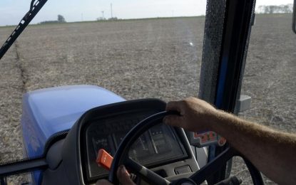 Maíz: las siembras llegan cada vez más tarde, pero lo que no demora es la mejora tecnológica